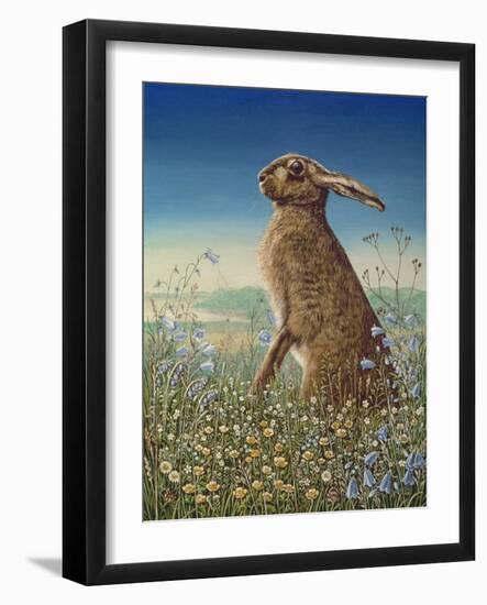 Hare, 1984-Frances Broomfield-Framed Giclee Print