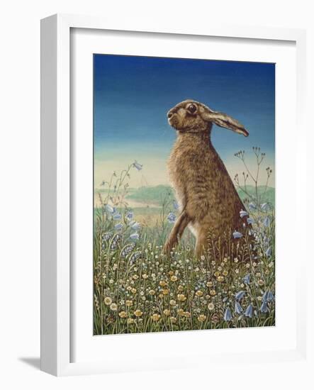 Hare, 1984-Frances Broomfield-Framed Giclee Print