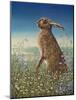 Hare, 1984-Frances Broomfield-Mounted Giclee Print