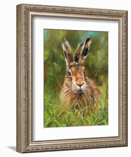 hare 2-David Stribbling-Framed Art Print