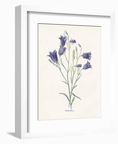 Hare-Bell-Gwendolyn Babbitt-Framed Art Print