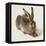 Hare-Hase. Watercolour.-Albrecht Dürer-Framed Premier Image Canvas