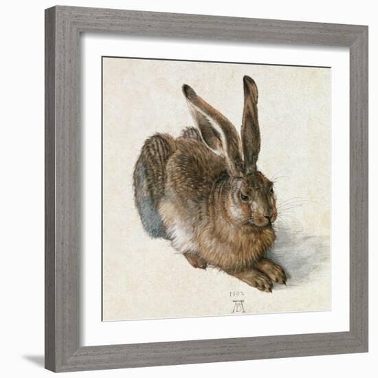 Hare-Hase. Watercolour.-Albrecht Dürer-Framed Giclee Print