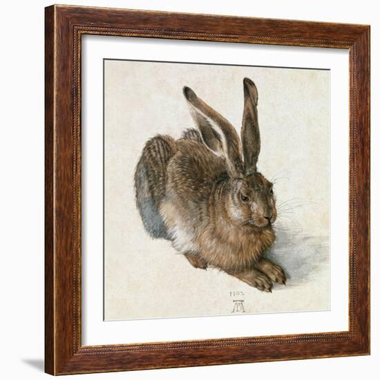 Hare-Hase. Watercolour.-Albrecht Dürer-Framed Giclee Print