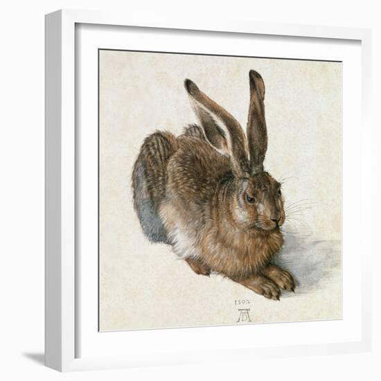 Hare-Hase. Watercolour.-Albrecht Dürer-Framed Giclee Print