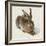 Hare-Hase. Watercolour.-Albrecht Dürer-Framed Giclee Print