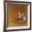 Hare Today-Stacy Dynan-Framed Giclee Print