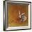 Hare Today-Stacy Dynan-Framed Giclee Print