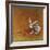 Hare Today-Stacy Dynan-Framed Giclee Print