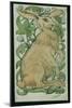 Hare (W/C on Paper)-William De Morgan-Mounted Giclee Print