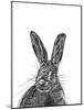 Hare-Lucy Francis-Mounted Giclee Print