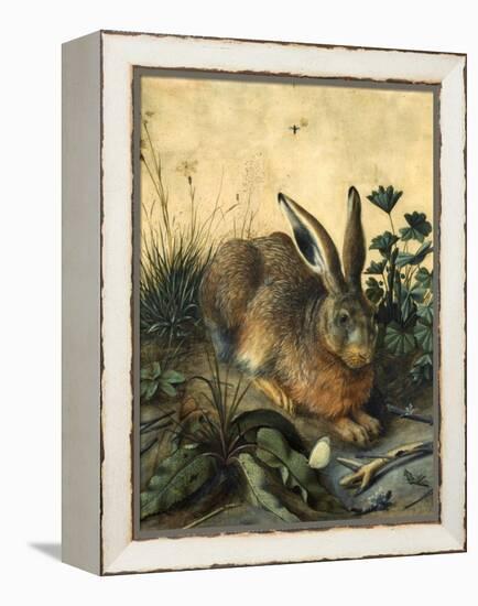 Hare-Hans Hoffmann-Framed Premier Image Canvas