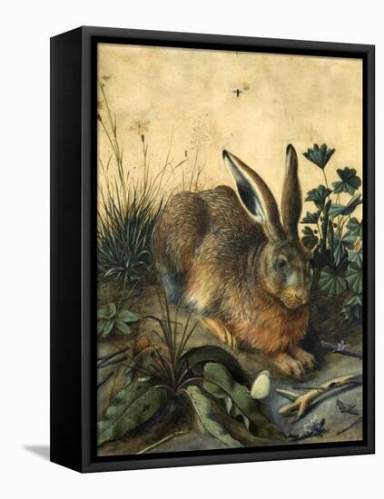 Hare-Hans Hoffmann-Framed Premier Image Canvas