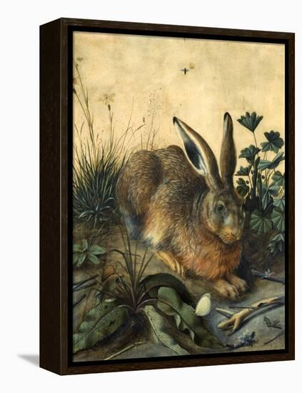 Hare-Hans Hoffmann-Framed Premier Image Canvas