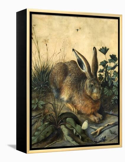 Hare-Hans Hoffmann-Framed Premier Image Canvas