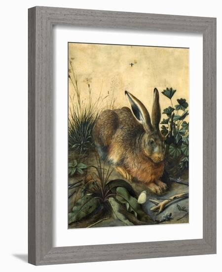 Hare-Hans Hoffmann-Framed Giclee Print