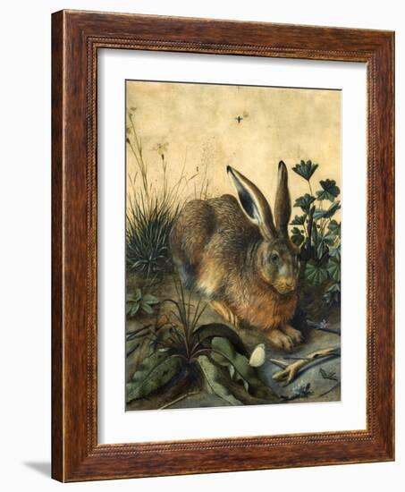 Hare-Hans Hoffmann-Framed Giclee Print