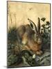 Hare-Hans Hoffmann-Mounted Giclee Print