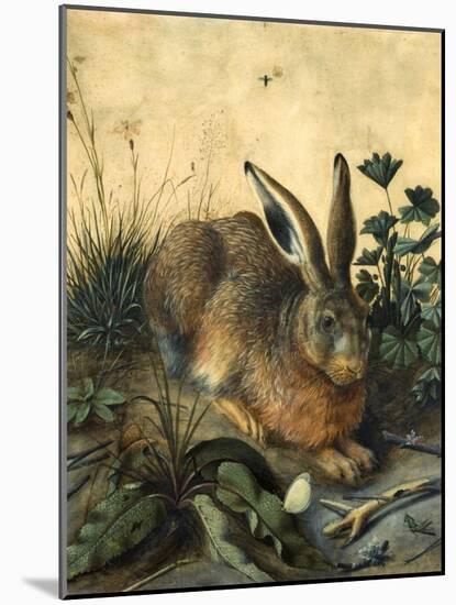 Hare-Hans Hoffmann-Mounted Giclee Print