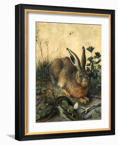 Hare-Hans Hoffmann-Framed Giclee Print