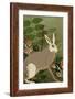 Hare-Rocket 68-Framed Giclee Print