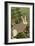 Hare-Rocket 68-Framed Giclee Print