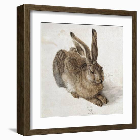 Hare-Albrecht Dürer-Framed Art Print