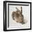 Hare-Albrecht Dürer-Framed Art Print