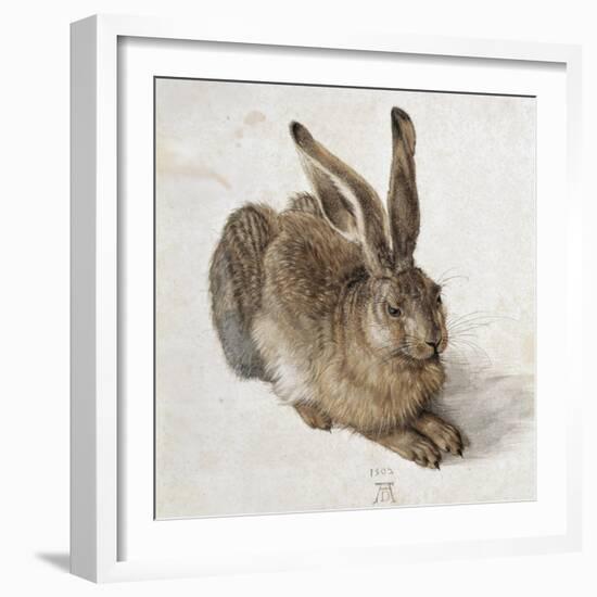 Hare-Albrecht Dürer-Framed Premium Giclee Print