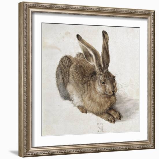 Hare-Albrecht Dürer-Framed Art Print