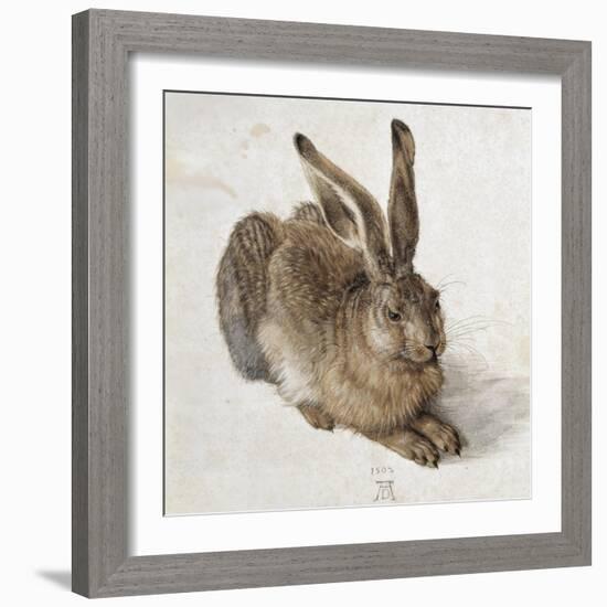 Hare-Albrecht Dürer-Framed Art Print