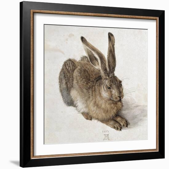 Hare-Albrecht Dürer-Framed Art Print