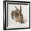 Hare-Albrecht Dürer-Framed Art Print