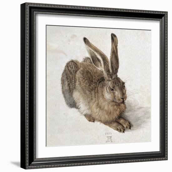 Hare-Albrecht Dürer-Framed Art Print