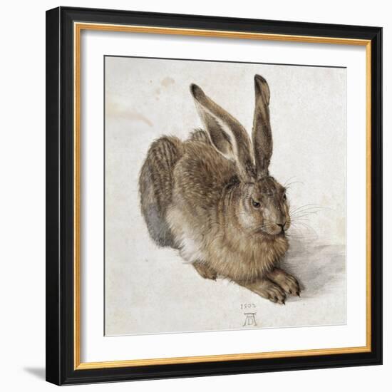 Hare-Albrecht Dürer-Framed Art Print