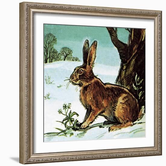 Hare-English School-Framed Giclee Print