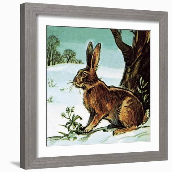 Hare-English School-Framed Giclee Print