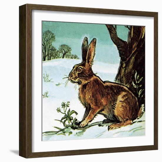 Hare-English School-Framed Giclee Print