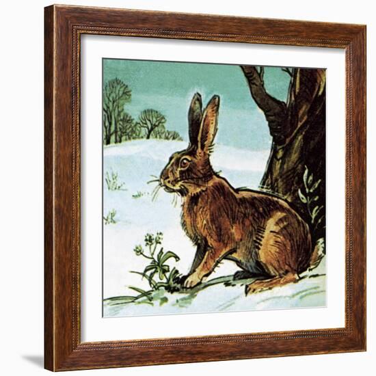 Hare-English School-Framed Giclee Print