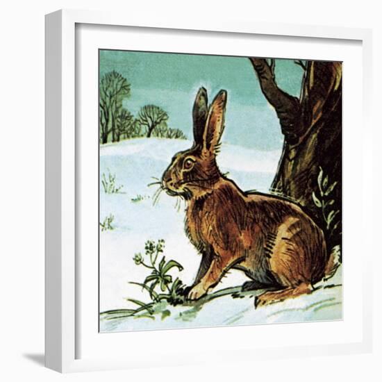 Hare-English School-Framed Giclee Print