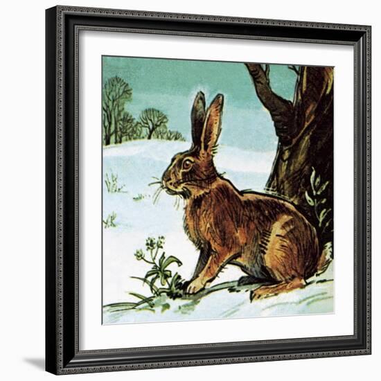 Hare-English School-Framed Giclee Print