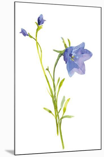 Harebells I-Sandra Jacobs-Mounted Giclee Print