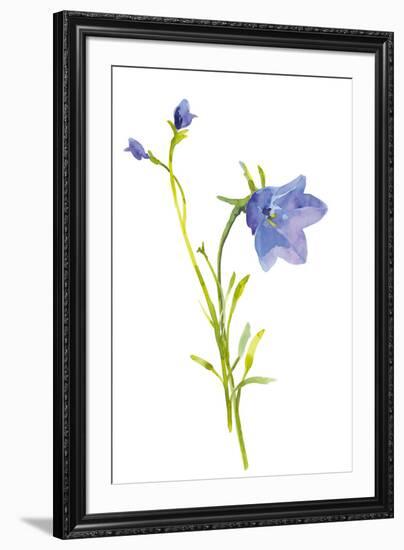 Harebells I-Sandra Jacobs-Framed Giclee Print