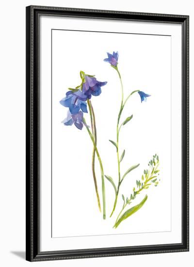 Harebells II-Sandra Jacobs-Framed Giclee Print