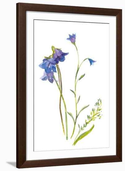 Harebells II-Sandra Jacobs-Framed Giclee Print