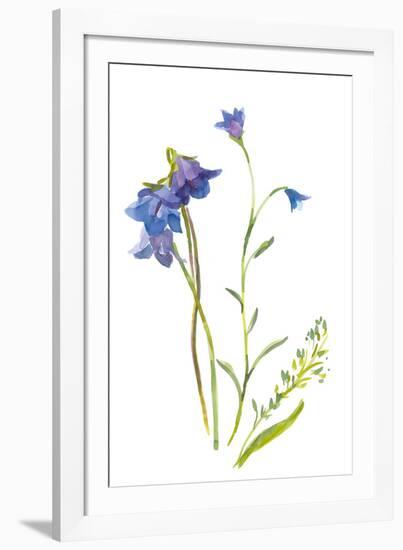 Harebells II-Sandra Jacobs-Framed Giclee Print