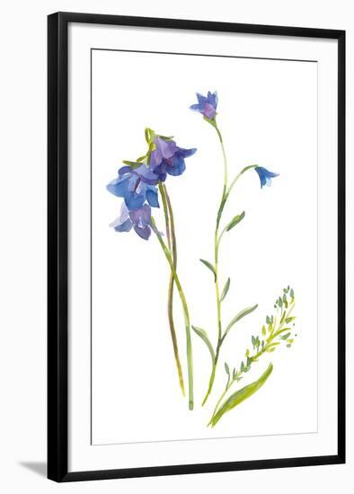 Harebells II-Sandra Jacobs-Framed Giclee Print