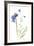 Harebells II-Sandra Jacobs-Framed Giclee Print