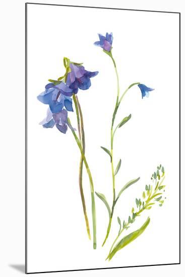 Harebells II-Sandra Jacobs-Mounted Giclee Print