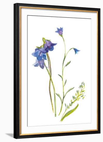 Harebells II-Sandra Jacobs-Framed Giclee Print